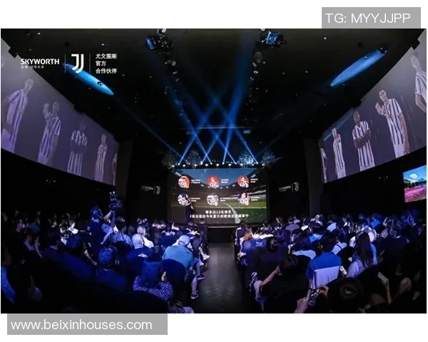 欧洲杯球迷文化与现场氛围互动研究