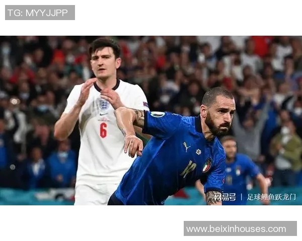 战术革新！新教练如何激活欧洲杯？