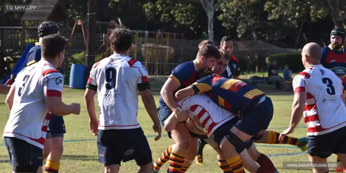 📺 高清直播，零时差体验！⚡️ 精彩瞬间，绝不错过！